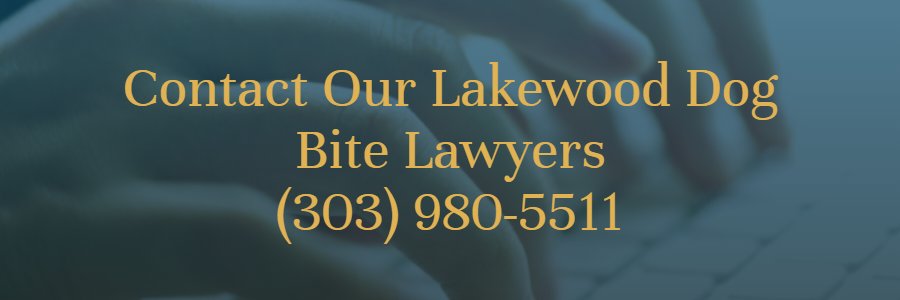 Lakewood CO dog injury attorneys